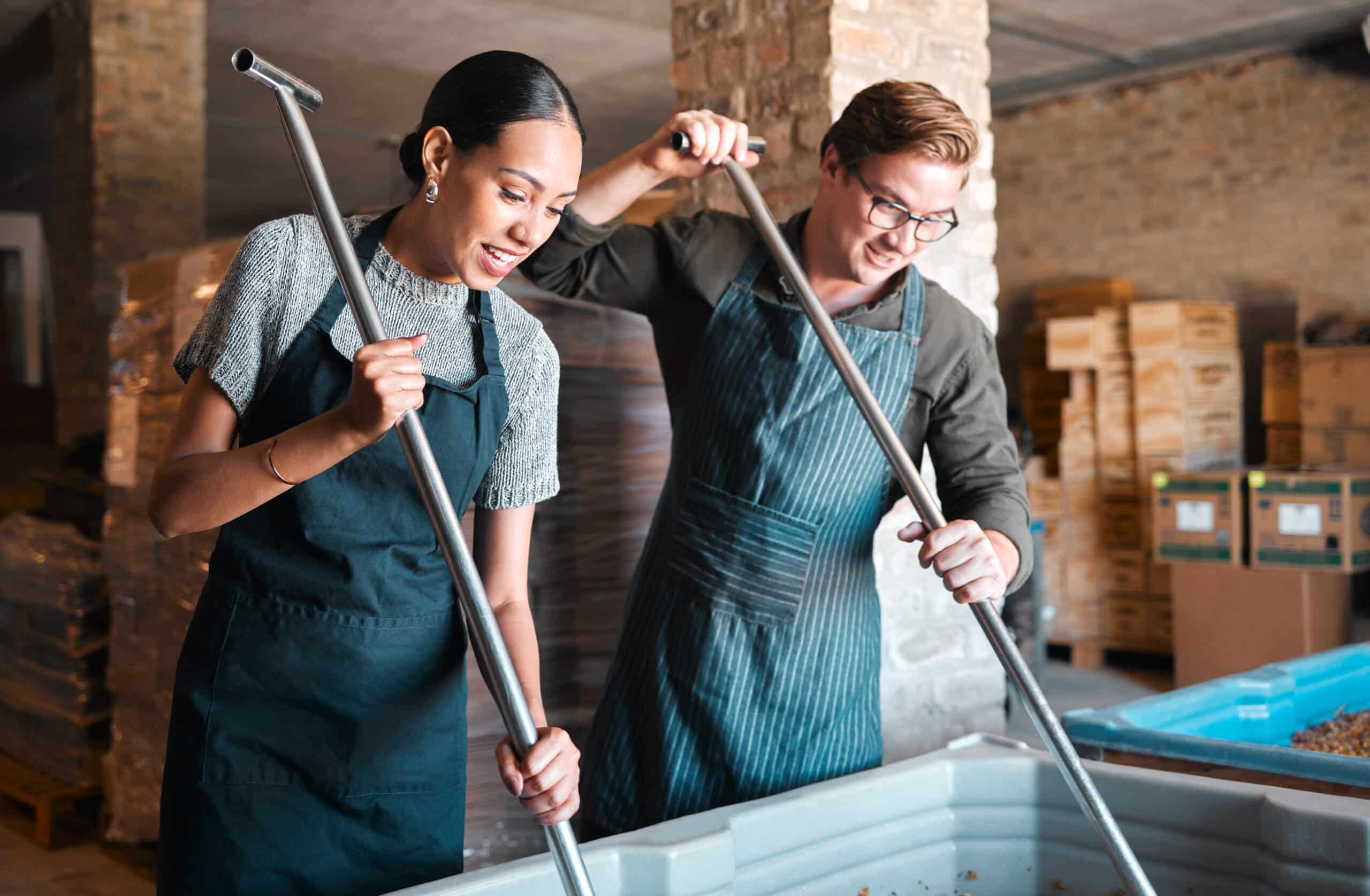 Cellar workers, making wine and mixing open tank with stirring, pressing and crushing tool for alco.