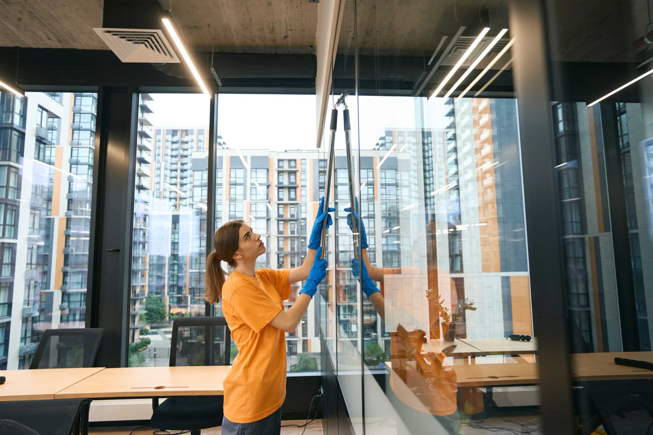 eco-friendly domestic cleaners London