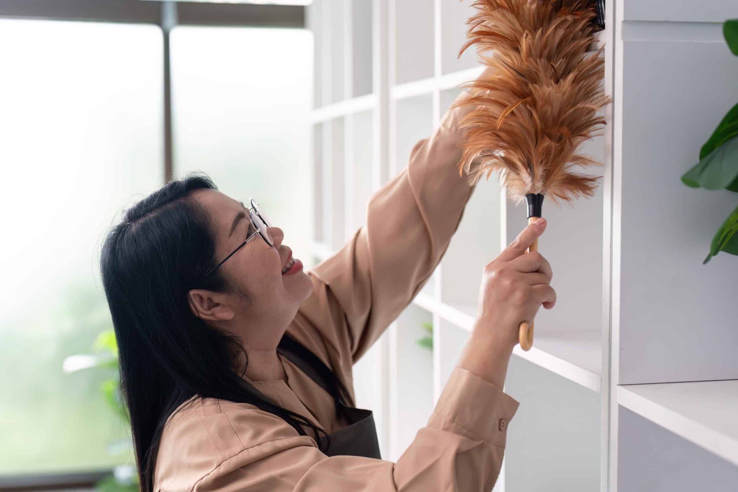 home cleaner London